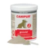 Canipur Gravid