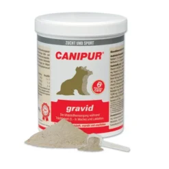 Canipur Gravid