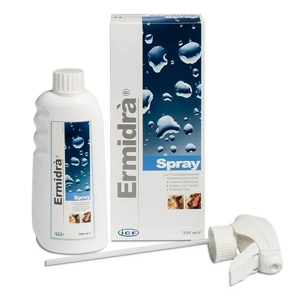 Livisto Ermidra 2 Livisto Ermidra – Bild 2