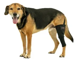 Tierarzt24 Neopren Knieprotektor Links