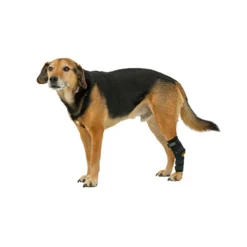 Tierarzt24 Neopren Tarsalprotektor