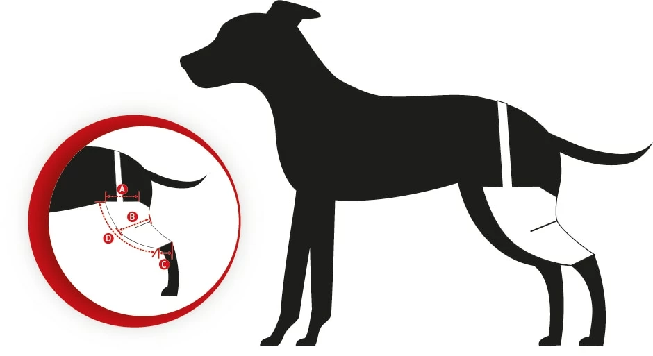 Tierarzt24 Neopren Knieprotektor Rechts 2 Tierarzt24 Neopren Knieprotektor Rechts – Bild 2