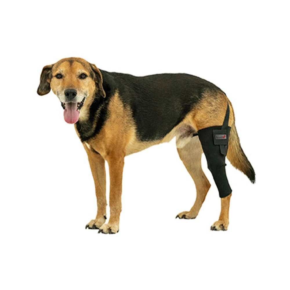 Tierarzt24 Neopren Knieprotektor Rechts 1 Tierarzt24 Neopren Knieprotektor Rechts