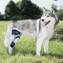 Tierarzt24 Rehab Knie-Orthese Ligatek Links