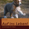 Auf Ins Leben! Grundschulplan Für Welpen 6 Auf Ins Leben! Grundschulplan Für Welpen -Tier Geschäft 0051633 auf ins leben grundschulplan fur welpen