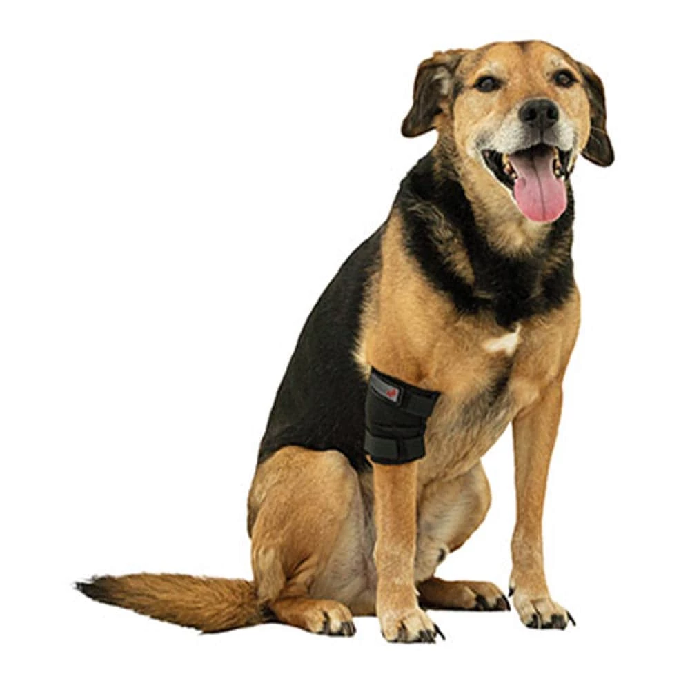 Tierarzt24 Neopren Ellenbogenprotektor 1 Tierarzt24 Neopren Ellenbogenprotektor