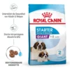 Royal Canin Giant Starter Für Tragende Hündin Und Welpen Großer Rassen -Tier Geschäft 0052985 royal canin giant starter fur tragende hundin und welpen groser rassen