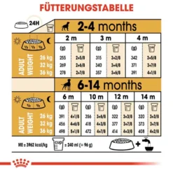 Royal Canin Boxer Puppy Welpenfutter Trocken 14 Royal Canin Boxer Puppy Welpenfutter Trocken -Tier Geschäft 0054561 royal canin boxer puppy welpenfutter trocken