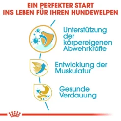 Royal Canin Boxer Puppy Welpenfutter Trocken 11 Royal Canin Boxer Puppy Welpenfutter Trocken -Tier Geschäft 0054562 royal canin boxer puppy welpenfutter trocken