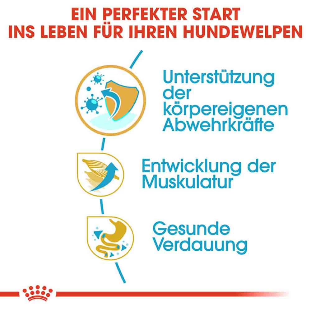 Royal Canin Boxer Puppy Welpenfutter Trocken 4 Royal Canin Boxer Puppy Welpenfutter Trocken – Bild 4