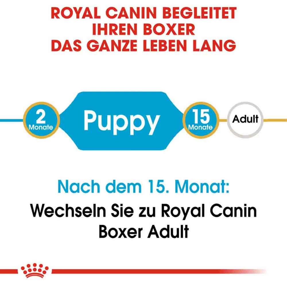 Royal Canin Boxer Puppy Welpenfutter Trocken 3 Royal Canin Boxer Puppy Welpenfutter Trocken – Bild 3