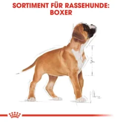 Royal Canin Boxer Puppy Welpenfutter Trocken 13 Royal Canin Boxer Puppy Welpenfutter Trocken -Tier Geschäft 0054568 royal canin boxer puppy welpenfutter trocken