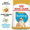 Royal Canin Bulldog Puppy Welpenfutter Trocken 3 Royal Canin Bulldog Puppy Welpenfutter Trocken -Tier Geschäft 0054579 royal canin bulldog puppy welpenfutter trocken