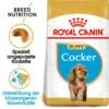 Royal Canin Cocker Puppy Welpenfutter Trocken -Tier Geschäft 0054587 royal canin cocker puppy welpenfutter trocken