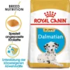 Royal Canin Dalmatian Puppy Welpenfutter -Tier Geschäft 0054609 royal canin dalmatian puppy welpenfutter