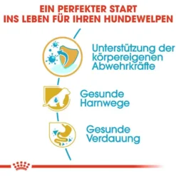 Royal Canin Dalmatian Puppy Welpenfutter 11 Royal Canin Dalmatian Puppy Welpenfutter -Tier Geschäft 0054611 royal canin dalmatian puppy welpenfutter