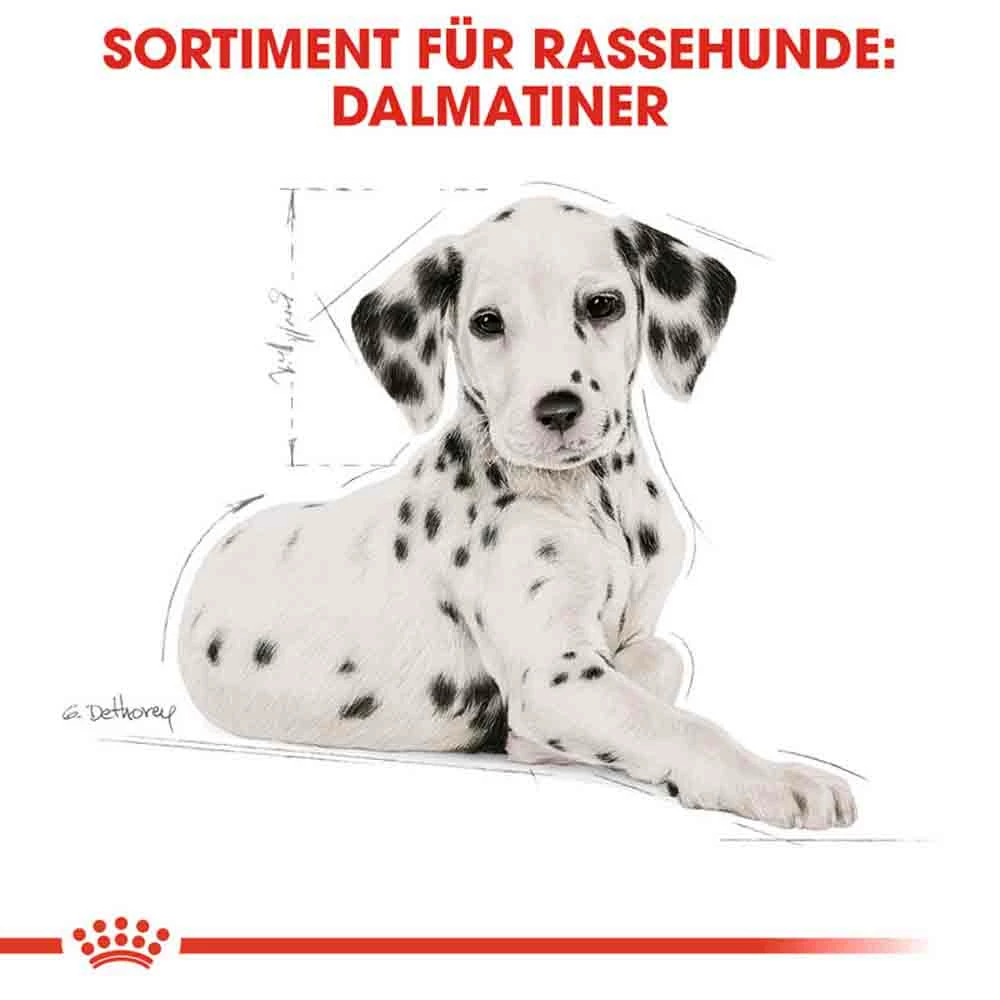 Royal Canin Dalmatian Puppy Welpenfutter 6 Royal Canin Dalmatian Puppy Welpenfutter – Bild 6