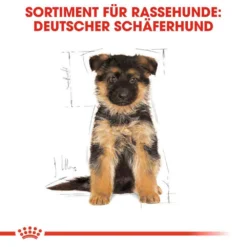 Royal Canin German Shepherd Puppy Welpenfutter Trocken -Tier Geschäft 0054620 royal canin german shepherd puppy welpenfutter trocken