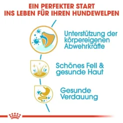 Royal Canin Golden Retriever Puppy Welpenfutter Trocken -Tier Geschäft 0054627 royal canin golden retriever puppy welpenfutter trocken