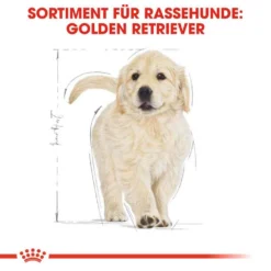 Royal Canin Golden Retriever Puppy Welpenfutter Trocken -Tier Geschäft 0054629 royal canin golden retriever puppy welpenfutter trocken