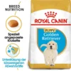 Royal Canin Golden Retriever Puppy Welpenfutter Trocken -Tier Geschäft 0054631 royal canin golden retriever puppy welpenfutter trocken