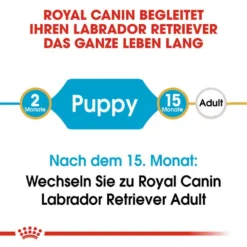 Royal Canin Labrador Retriever Puppy Welpenfutter Trocken 10 Royal Canin Labrador Retriever Puppy Welpenfutter Trocken -Tier Geschäft 0054641 royal canin labrador retriever puppy welpenfutter trocken