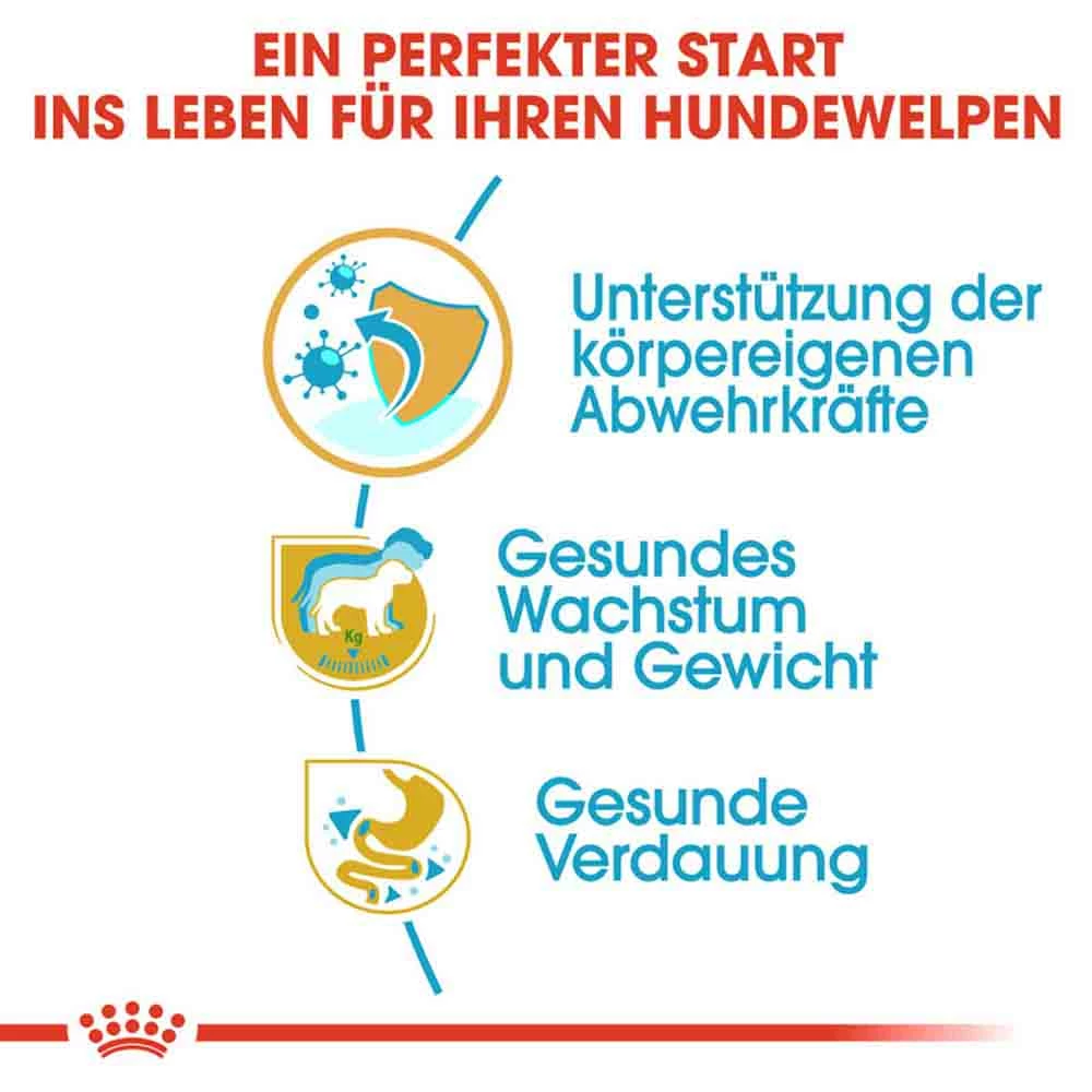 Royal Canin Labrador Retriever Puppy Welpenfutter Trocken 4 Royal Canin Labrador Retriever Puppy Welpenfutter Trocken – Bild 4