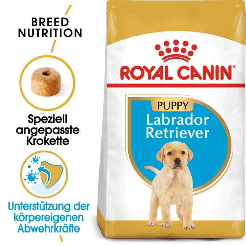 Royal Canin Labrador Retriever Puppy Welpenfutter Trocken 1 Royal Canin Labrador Retriever Puppy Welpenfutter Trocken