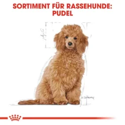 Royal Canin Poodle Puppy Welpenfutter 13 Royal Canin Poodle Puppy Welpenfutter -Tier Geschäft 0054650 royal canin poodle puppy welpenfutter