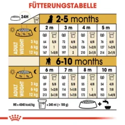 Royal Canin Poodle Puppy Welpenfutter 14 Royal Canin Poodle Puppy Welpenfutter -Tier Geschäft 0054652 royal canin poodle puppy welpenfutter