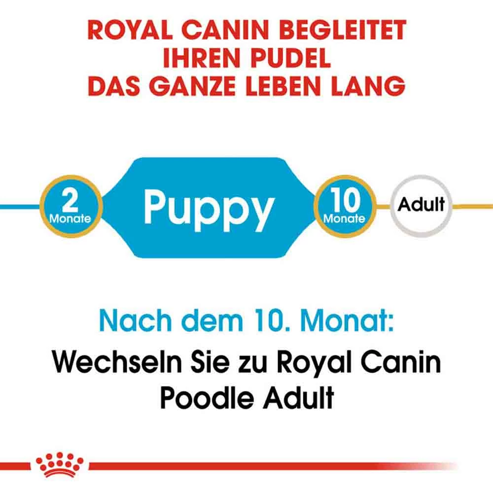 Royal Canin Poodle Puppy Welpenfutter 3 Royal Canin Poodle Puppy Welpenfutter – Bild 3