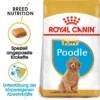 Royal Canin Poodle Puppy Welpenfutter -Tier Geschäft 0054654 royal canin poodle puppy welpenfutter