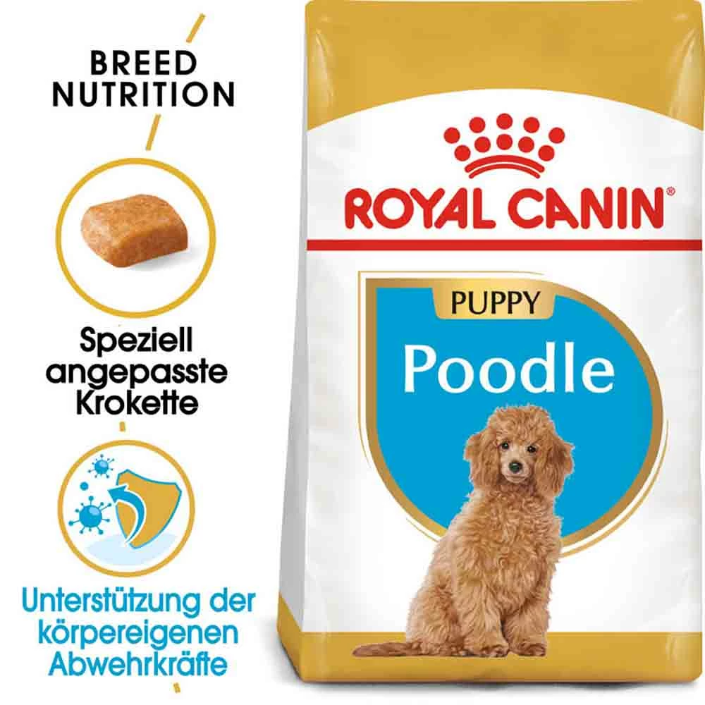 Royal Canin Poodle Puppy Welpenfutter 1 Royal Canin Poodle Puppy Welpenfutter