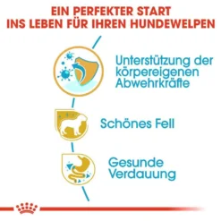 Royal Canin Poodle Puppy Welpenfutter 11 Royal Canin Poodle Puppy Welpenfutter -Tier Geschäft 0054656 royal canin poodle puppy welpenfutter