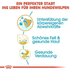 Royal Canin Shih Tzu Puppy Welpenfutter Trocken -Tier Geschäft 0054680 royal canin shih tzu puppy welpenfutter trocken