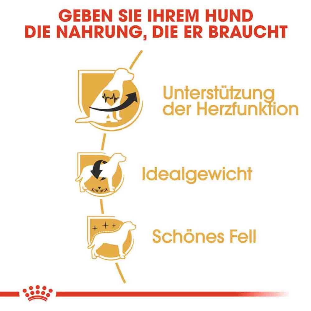 Royal Canin Cavalier King Charles Adult Hundefutter Trocken 4 Royal Canin Cavalier King Charles Adult Hundefutter Trocken – Bild 4