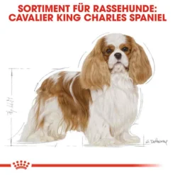 Royal Canin Cavalier King Charles Adult Hundefutter Trocken 9 Royal Canin Cavalier King Charles Adult Hundefutter Trocken -Tier Geschäft 0054714 royal canin cavalier king charles adult hundefutter trocken