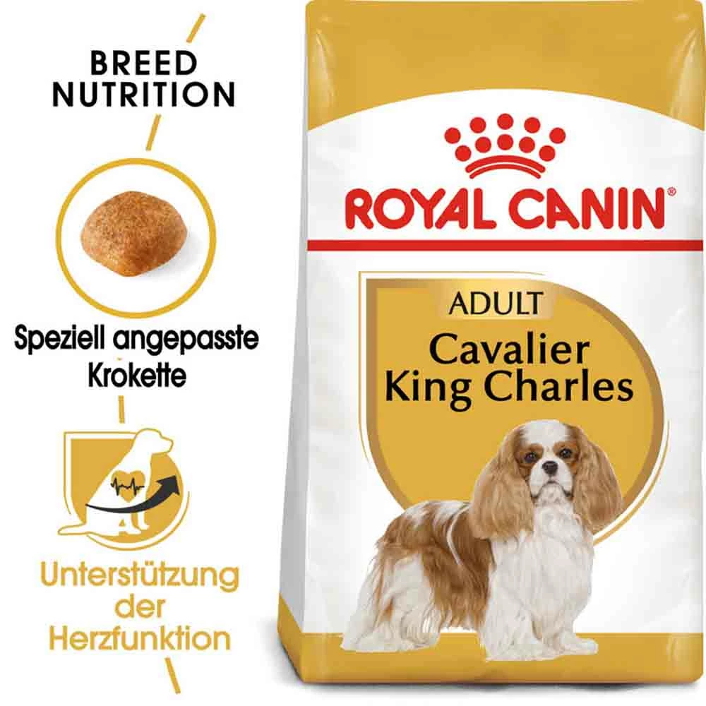 Royal Canin Cavalier King Charles Adult Hundefutter Trocken 1 Royal Canin Cavalier King Charles Adult Hundefutter Trocken