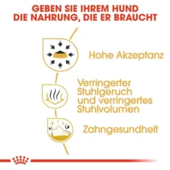 Royal Canin Chihuahua Adult Hundefutter Trocken -Tier Geschäft 0054718 royal canin chihuahua adult hundefutter trocken