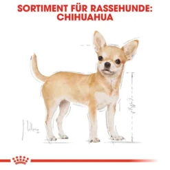 Royal Canin Chihuahua Adult Hundefutter Trocken -Tier Geschäft 0054723 royal canin chihuahua adult hundefutter trocken