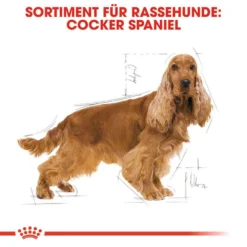 Royal Canin Cocker Adult Hundefutter Trocken 9 Royal Canin Cocker Adult Hundefutter Trocken -Tier Geschäft 0054726 royal canin cocker adult hundefutter trocken