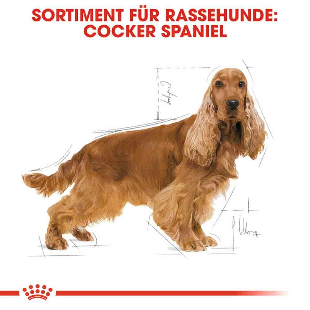 Royal Canin Cocker Adult Hundefutter Trocken 3 Royal Canin Cocker Adult Hundefutter Trocken – Bild 3