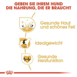 Royal Canin Cocker Adult Hundefutter Trocken 10 Royal Canin Cocker Adult Hundefutter Trocken -Tier Geschäft 0054727 royal canin cocker adult hundefutter trocken