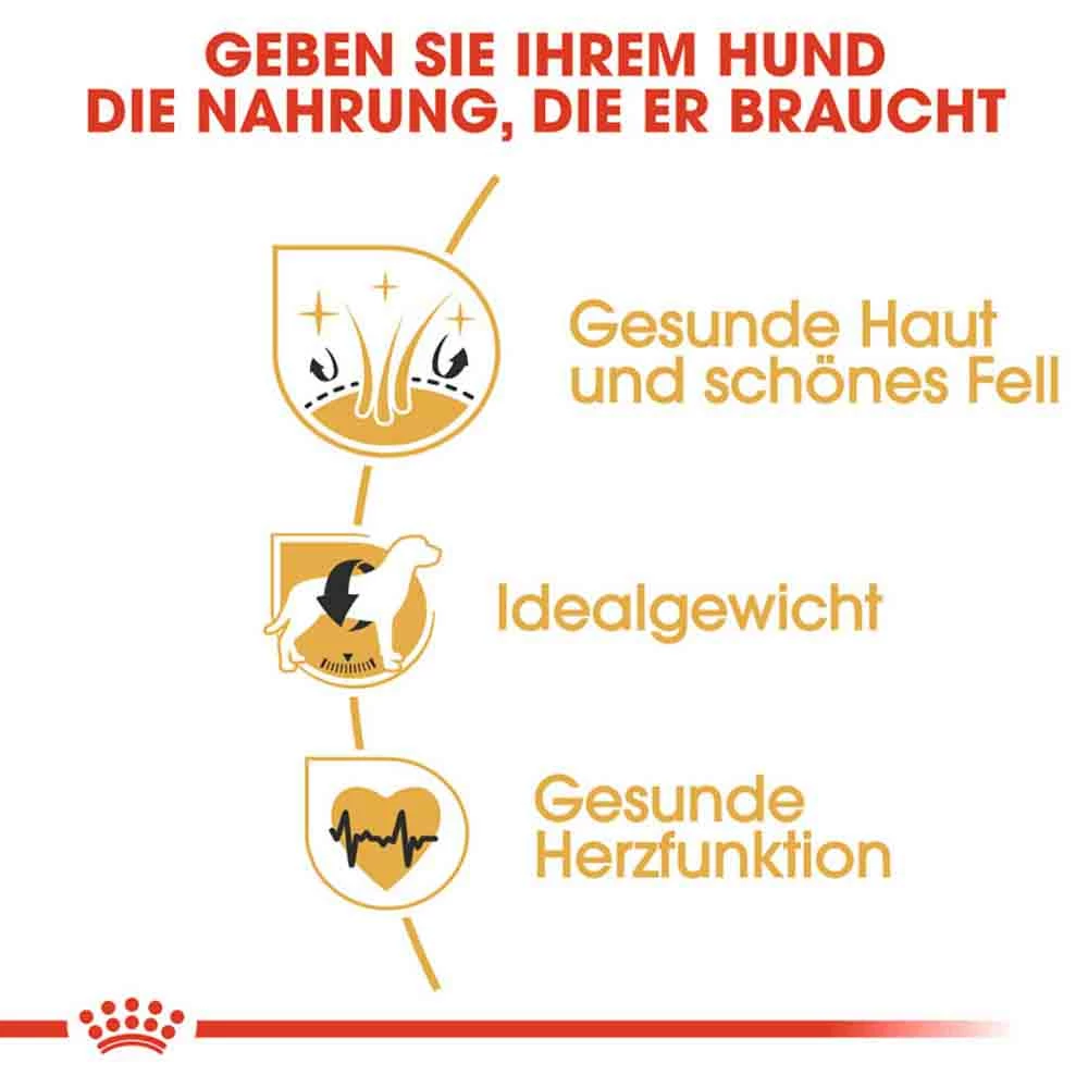 Royal Canin Cocker Adult Hundefutter Trocken 4 Royal Canin Cocker Adult Hundefutter Trocken – Bild 4