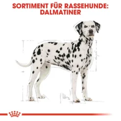 Royal Canin Dalmatian Adult Hundefutter Trocken 9 Royal Canin Dalmatian Adult Hundefutter Trocken -Tier Geschäft 0054738 royal canin dalmatian adult hundefutter trocken