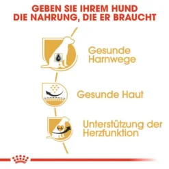 Royal Canin Dalmatian Adult Hundefutter Trocken 10 Royal Canin Dalmatian Adult Hundefutter Trocken -Tier Geschäft 0054742 royal canin dalmatian adult hundefutter trocken