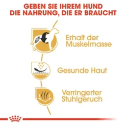 Royal Canin French Bulldog Adult Hundefutter Trocken -Tier Geschäft 0054750 royal canin french bulldog adult hundefutter trocken