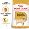 Royal Canin Labrador Retriever Adult Hundefutter Trocken -Tier Geschäft 0054780 royal canin labrador retriever adult hundefutter trocken