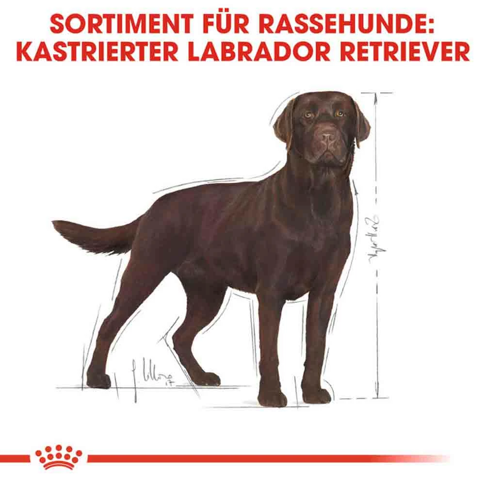 Royal Canin Labrador Retriever Adult Sterilised Trockenfutter Für Kastrierte Hunde 3 Royal Canin Labrador Retriever Adult Sterilised Trockenfutter Für Kastrierte Hunde – Bild 3