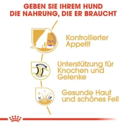 Royal Canin Labrador Retriever Adult Sterilised Trockenfutter Für Kastrierte Hunde 10 Royal Canin Labrador Retriever Adult Sterilised Trockenfutter Für Kastrierte Hunde -Tier Geschäft 0054796 royal canin labrador retriever adult sterilised trockenfutter fur kastrierte hunde